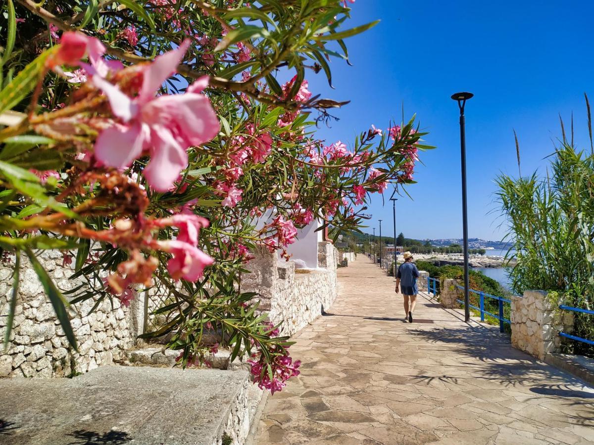 Marina Di Andrano - Alisso, Casa Vista Mare Con Parcheggio Privato E Wifi Villa Dış mekan fotoğraf