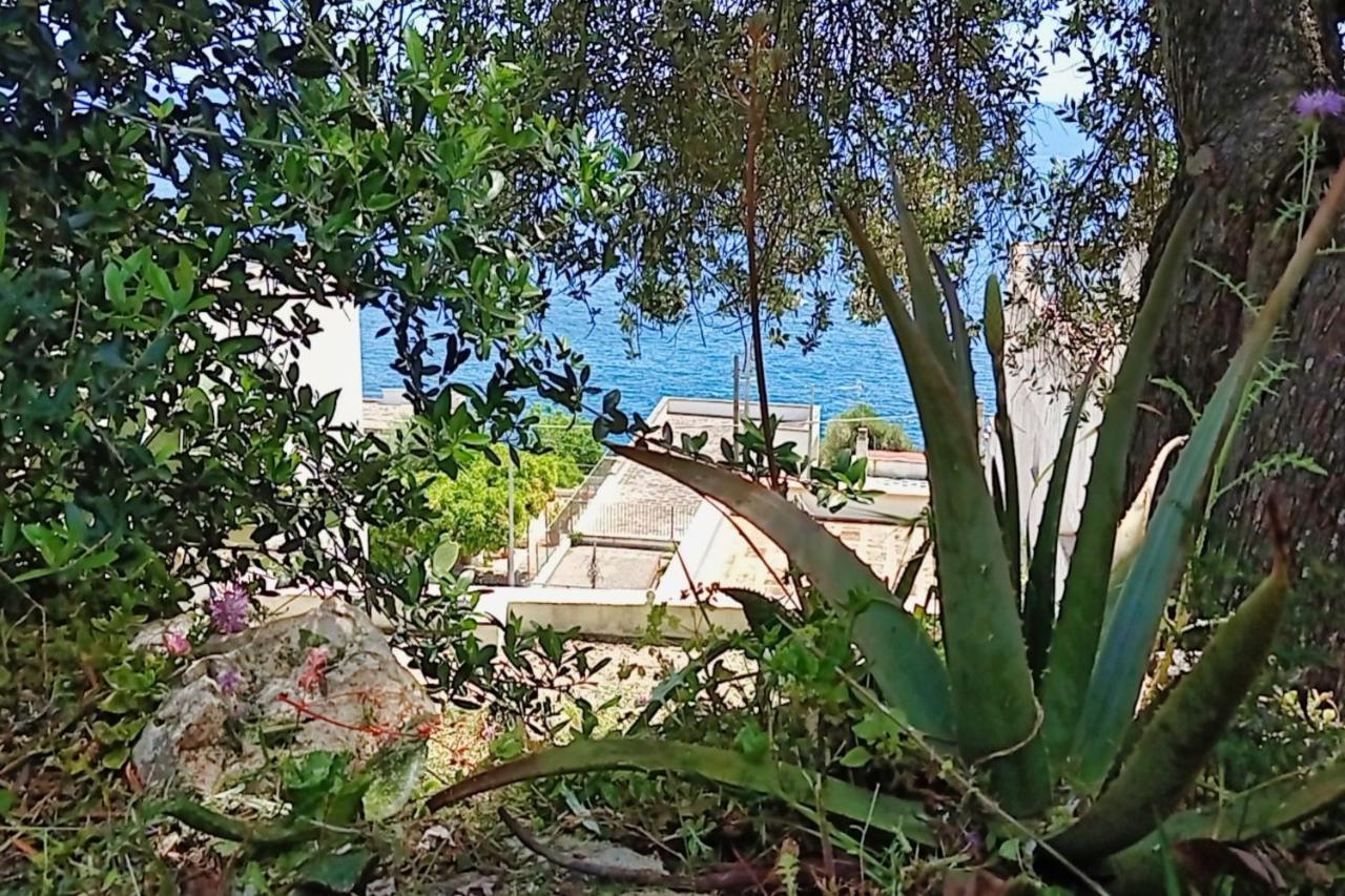 Marina Di Andrano - Alisso, Casa Vista Mare Con Parcheggio Privato E Wifi Villa Dış mekan fotoğraf